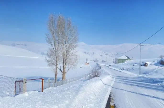 Ağrı kara teslim oldu
