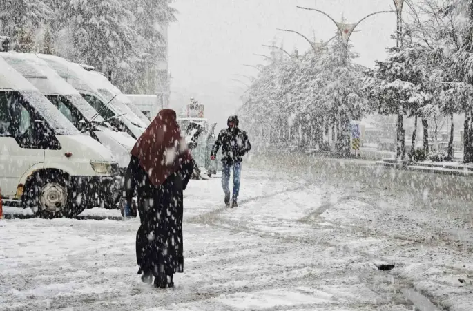 Ahlat’ta nisan karı etkili oldu
