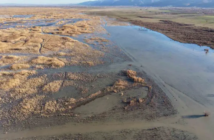Akşehir Gölü’nde yıllardır görülmeyen oldu
