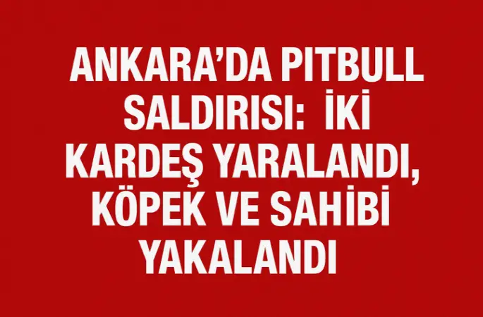 Ankara’da Pitbull Saldırısı: İki Kardeş Yaralandı, Köpek ve Sahibi Yakalandı