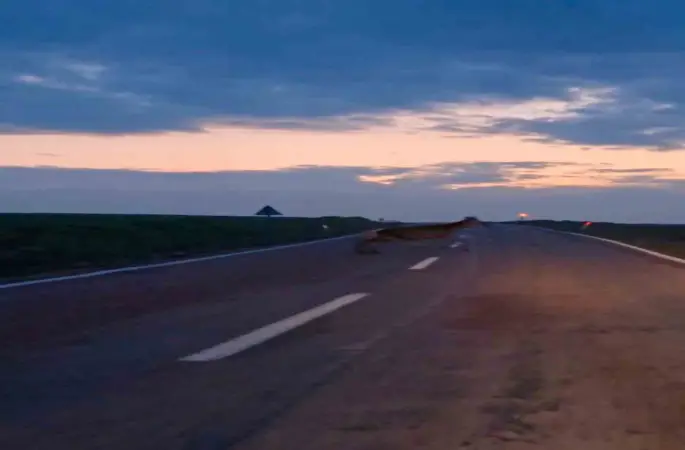 Ankara’da yaban geyiği sürüsü görüldü
