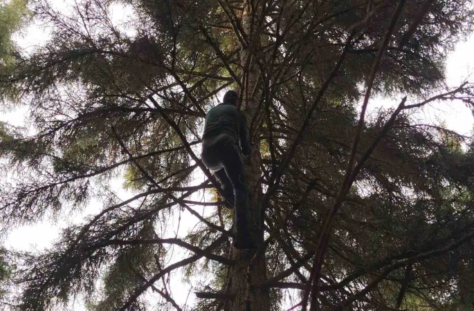 Artvin’de 40 metrelik göknar ağacının tepesine takılan dronu böyle kurtardılar
