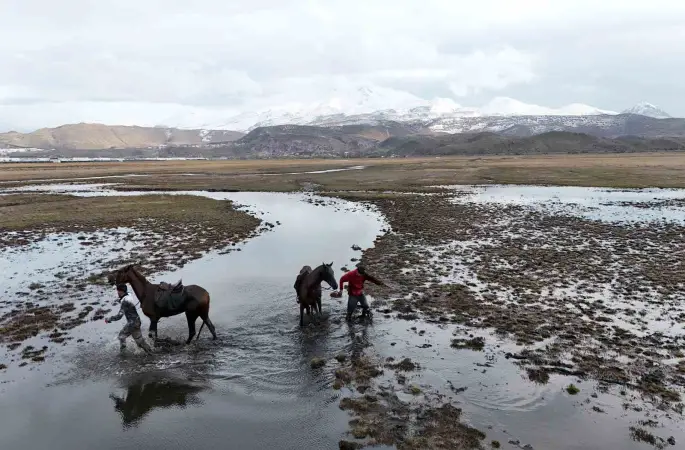 Atla gezi suda bitti
