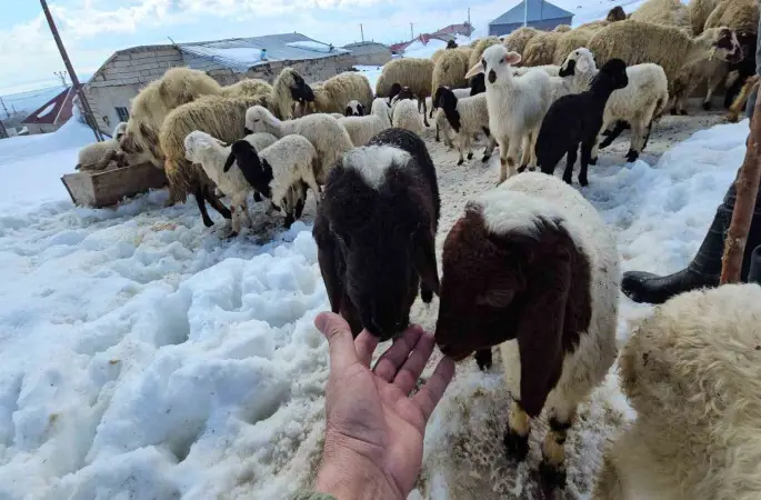 Aydınlar beldesinde iki mevsim bir arada yaşanıyor
