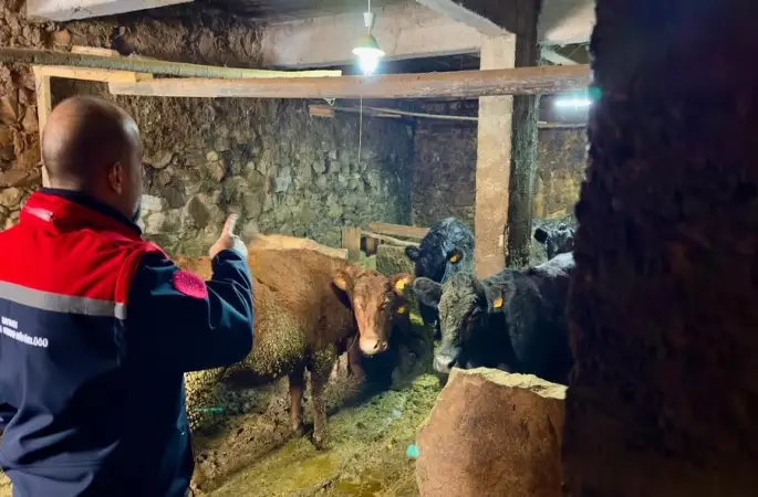 Aydıntepe’de Kırsalda Bereket Projesi ile üretimler devam ediyor
