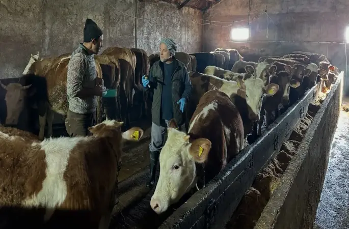 Aydıntepe’nin 23 köyünde ve 4 mahallesinde şap aşılama kampanyası tamamlandı
