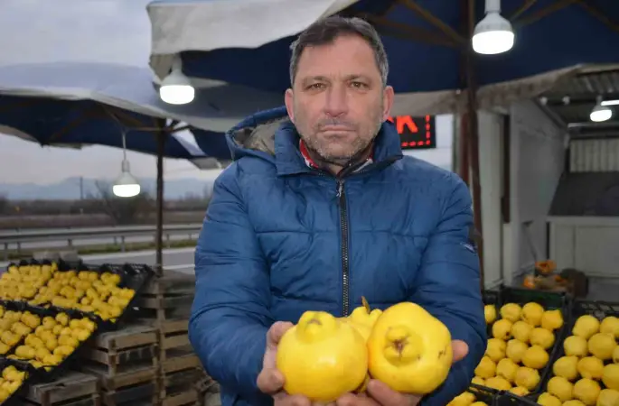 Ayvayı bu sene ayaz vurdu, fiyatlar fırladı
