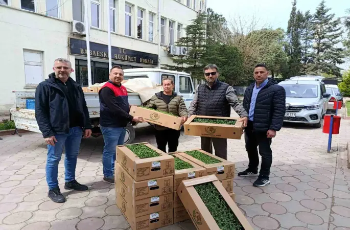 Babaeski’de üreticiye 2 bin kırmızı domates fidesi verildi

