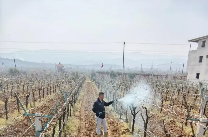 Bağlarda çiçek öncesi ilaçlama programı açıklandı
