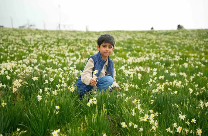Baharın habercisi nergisler ziyaretçilerin ilgi odağı oluyor
