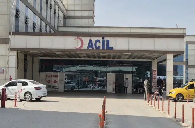 Baharla birlikte gelen kabus
