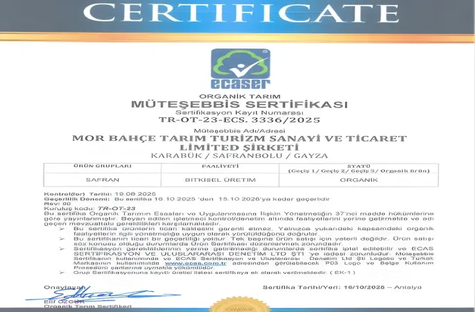 BAKKA destekleriyle safran üretiminde organik üretime geçildi
