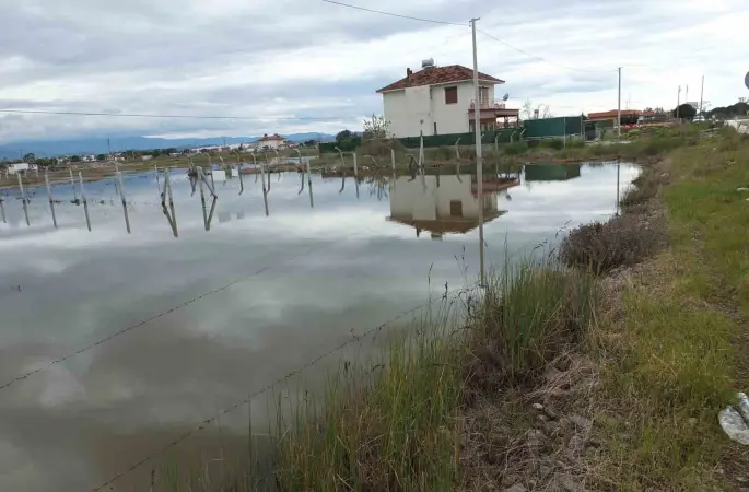 Balıkesir’de nisan yağmurları zeytincileri sevindirdi
