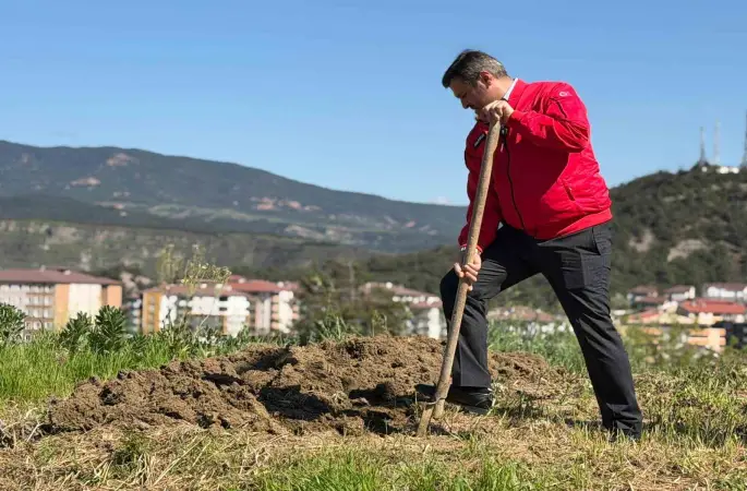 Başkan Çetinkaya bademin karşılığını emeğiyle ödedi
