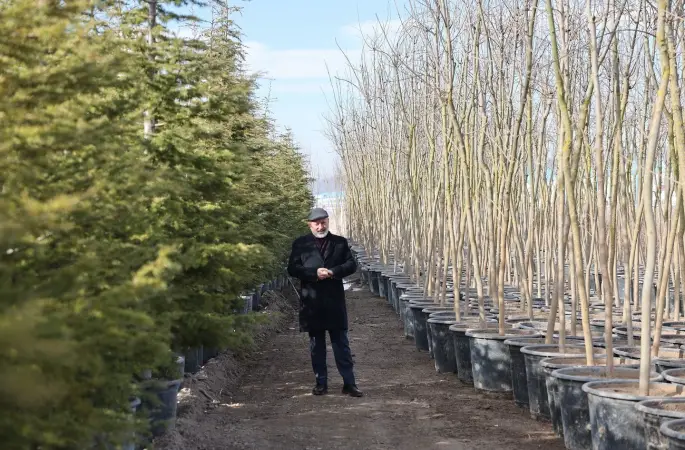 Başkan Çolakbayrakdar: "Şehrin yeşil geleceğini Kocasinan’da inşa ediyoruz"
