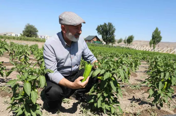 Başkan Çolakbayrakdar: "Toprağımıza bereket, çiftçimize yeni kazanç kapısı açıyoruz"
