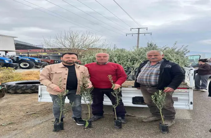Bayındır’da üreticilere zeytin fidanı desteği
