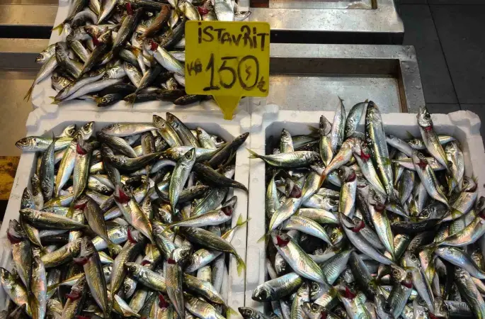 Bayram öncesi balık tezgahlarında bolluk
