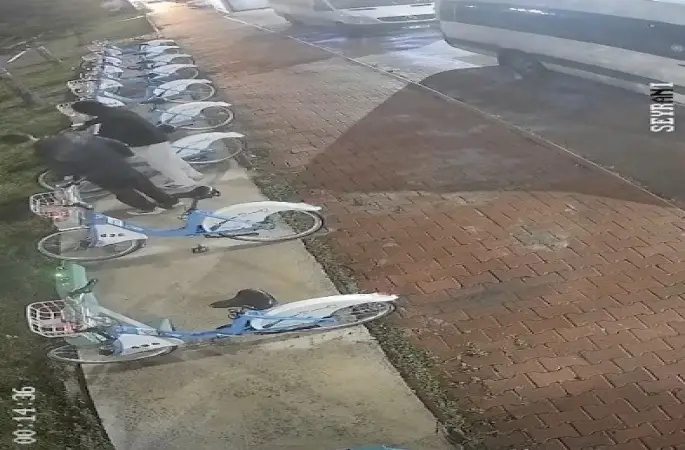 Belediyenin bisikletlerine böyle zarar verdiler
