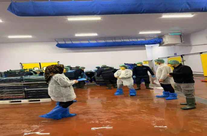 Bingöl’de balık işleme tesisleri denetlendi
