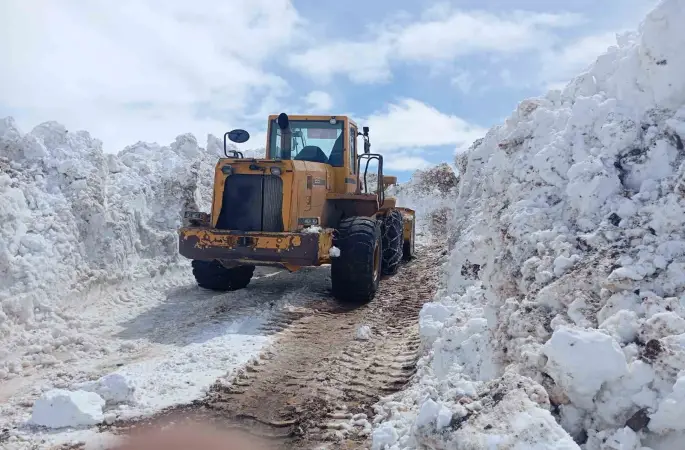 Bingöl’de metrelerce karla mücadele
