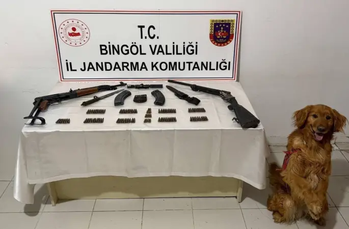 Bingöl’de silah ve mühimmat ele geçirildi
