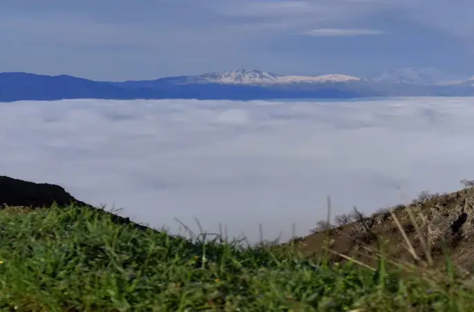 Bir mahalle sis denizinde kayboldu
