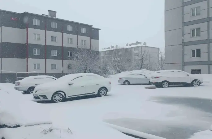 Bitlis nisan ayında yeniden beyaza büründü
