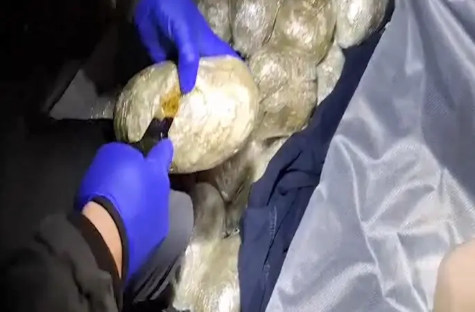 Bitlis’te 4 kilo 800 gram skunk ele geçirildi
