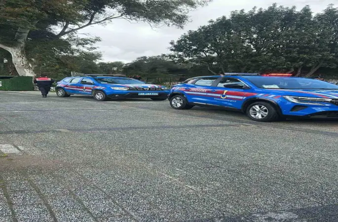 Bodrum’da iki köpeğin silahla vurulduğu iddiası
