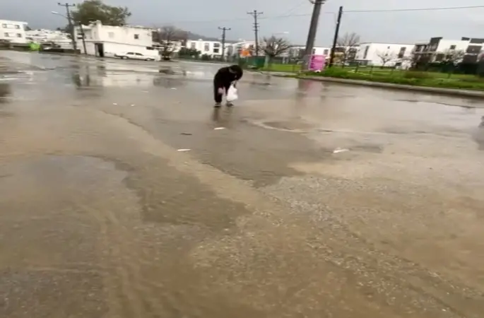 Bodrum’da sağanak baskını: Gölet taştı, asfalta balık yağdı
