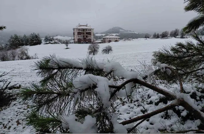 Bolu martta yağan karla beyaza büründü
