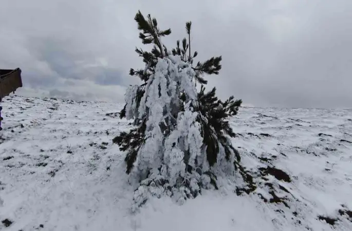 Bolu’da soğuk hava ağaçları dondurdu

