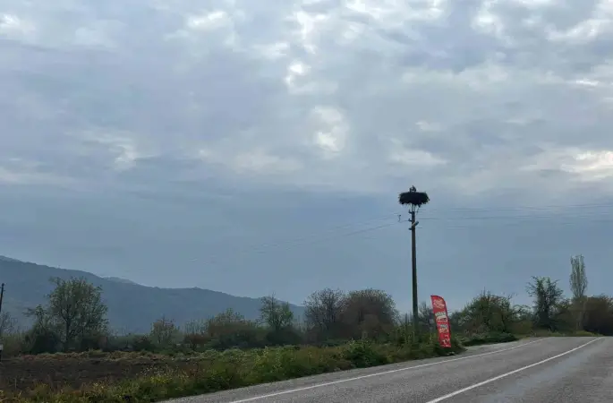 Bozdoğan’da baharın müjdecisi leylekler yuvalarına döndü

