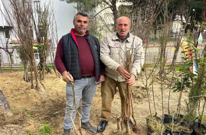 Buldan’ın bereketli toprakları fidanlarla canlanıyor
