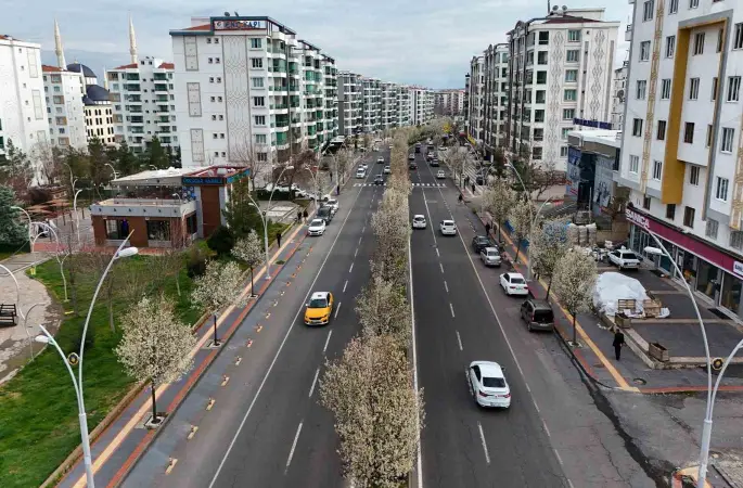 Bulvarlar süs armutlarıyla görsel şölene dönüştü
