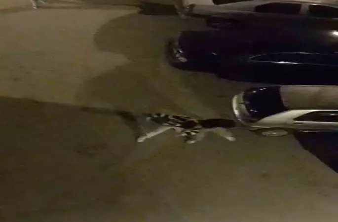 Bursa’da sokak ortasında boks ringlerini aratmayan kavga kamerada
