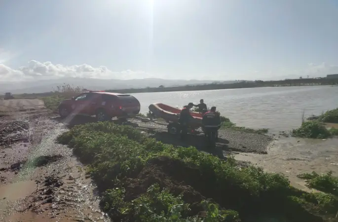 Büyükşehir ekiplerinin özverili çabası: Mahsur kalan hayvanlar kurtarıldı
