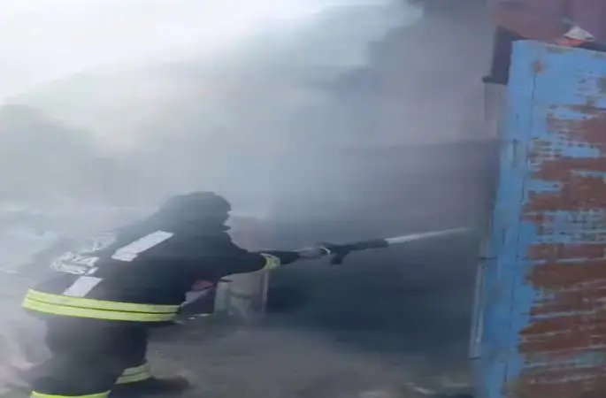 Çardak yangınında 65 buzağı telef oldu
