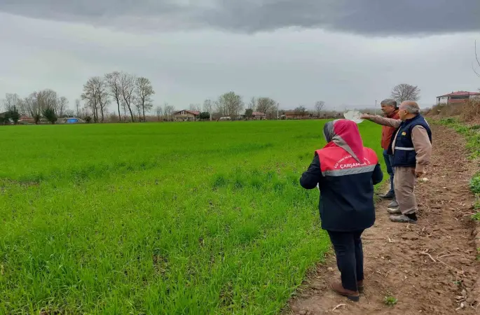 Çarşamba’da fenolojik gözlem ve destekleme çalışmaları
