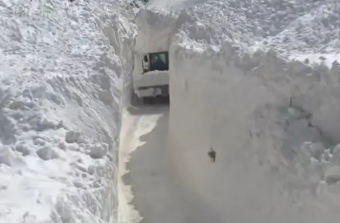 Çığ nedeniyle kapanan köy yolunda zorlu karla mücadele çalışması
