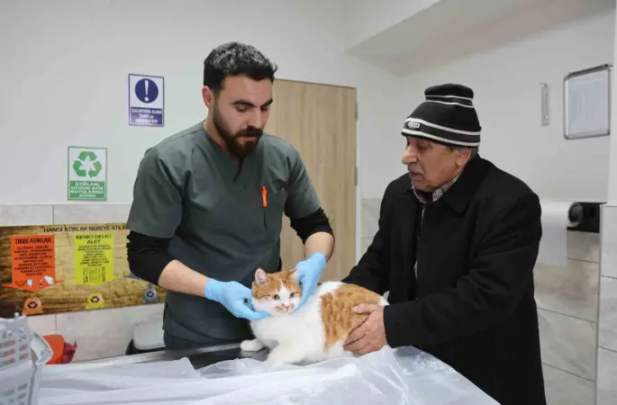 Cumhuriyet tarihinin ilk fakültesine ait hastanede, bir yılda 9 bin 600 hayvan şifa buldu
