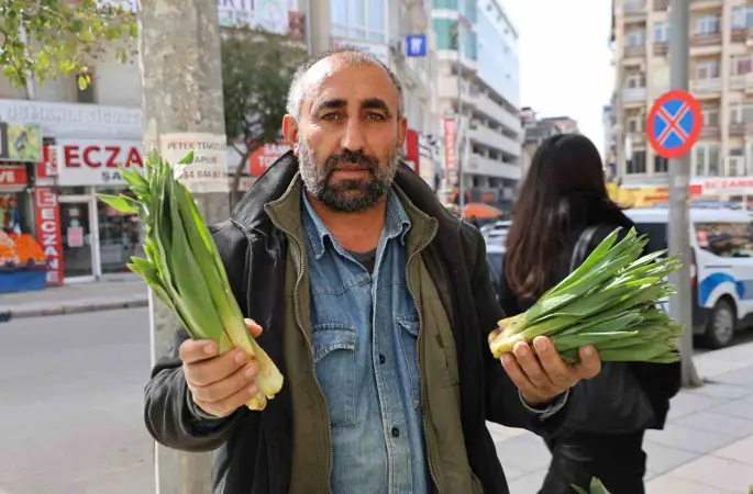 Dağlardan toplanan doğal antibiyotik, tezgahlarda yerini aldı
