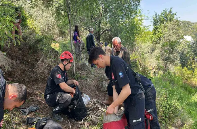 Dağlık alanda otlarken mağaraya düşen inek mağaraya inebilecek kasap bulunamayınca telef oldu
