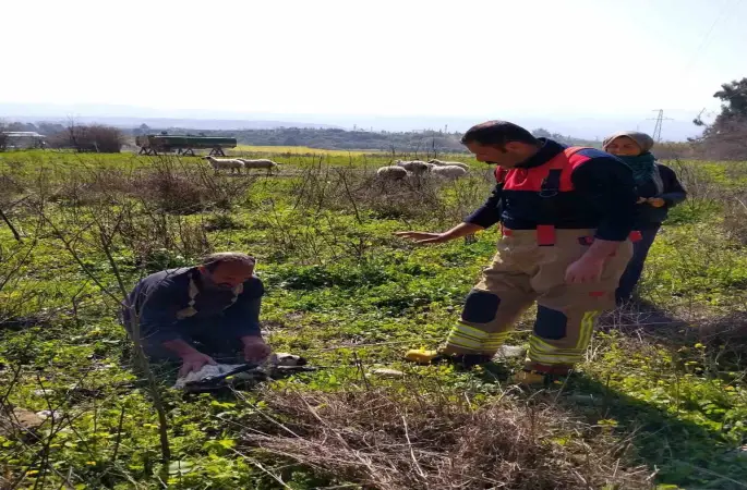 Defne’de kuyuya düşen kuzuyu itfaiye kurtardı
