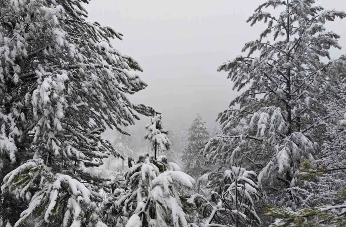 Demirci’nin yüksek kesimlerinde kar yağışı etkili oluyor
