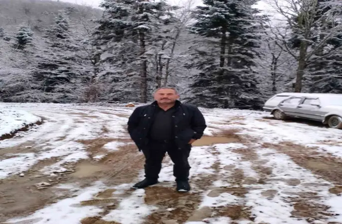 Devrilen ağacın altında kalan işçi hayatını kaybetti
