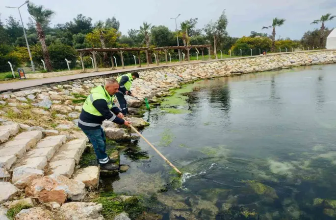 Didim’de temizlik ve düzenleme çalışmaları sürüyor
