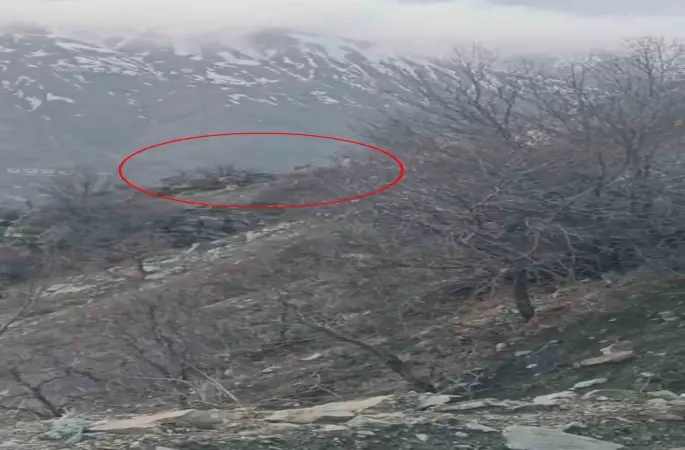 Diyarbakır’da nesli koruma altında bulunan dağ keçileri görüntülendi
