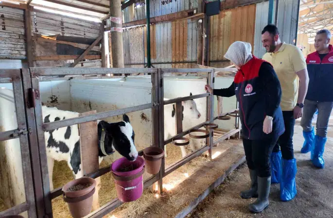 Düzce’de ari işletme sayısı artıyor
